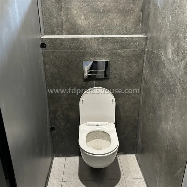 40ft Shipping Container Toilet To USA
